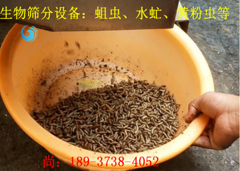 蛆虫筛选3层妖精视频APP下载安卓版